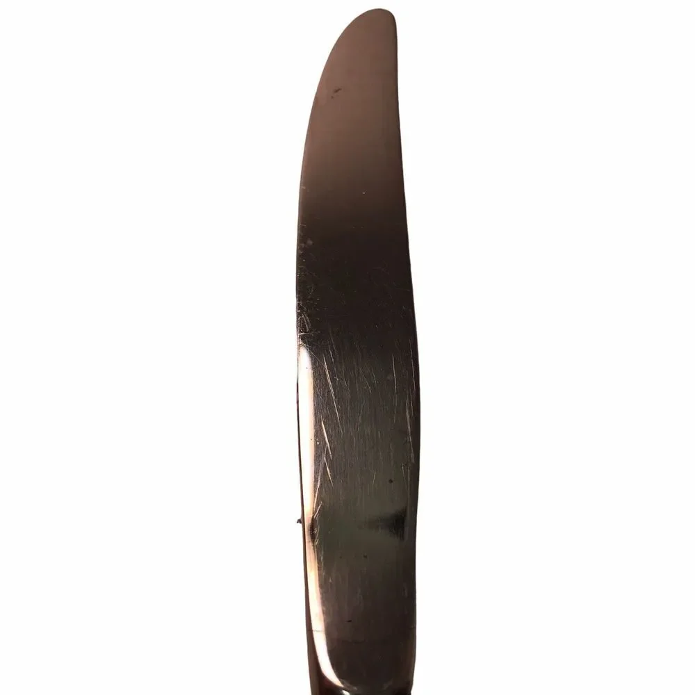 Renoir Pembrooke by Oneida stainless‎ Modern Hollow knives 9